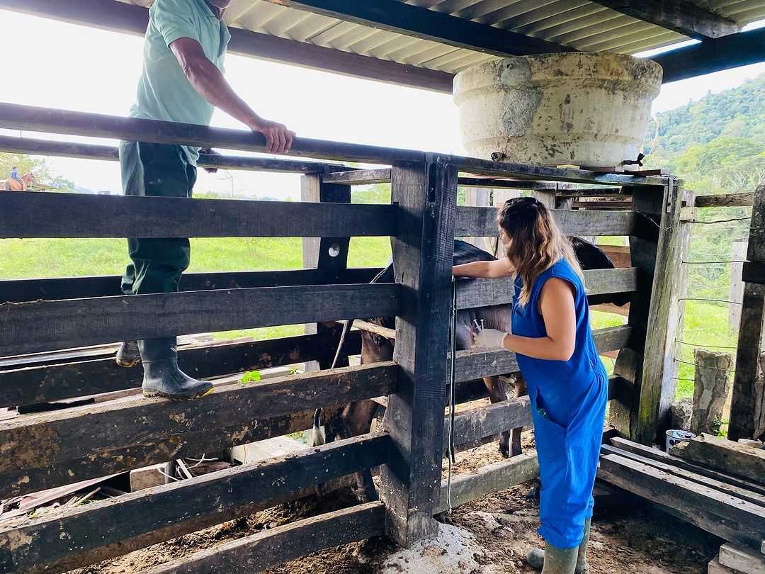 Camacã: Programa Mais Pecuária Brasil atende mais pecuaristas